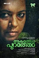 Akatho Puratho (2017) HDRip Malayalam